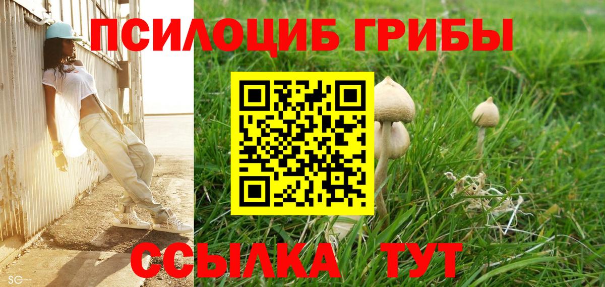 Псилоцибиновые грибы GOLDEN TEACHER  Вход с VPN  Альметьевск  Галлюциногенные грибы мицелий 
